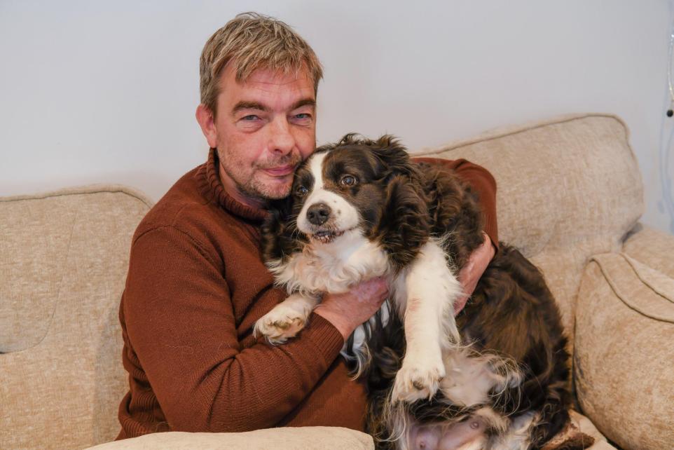 Rescued Barrow Dog Billie Thrives After Finding a Loving New Home