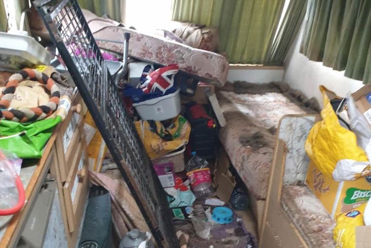 Woman Given Lifetime Animal Ban After 21 Dogs Found In Filthy Conditions