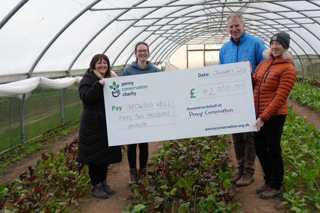 £42,000 Boost to Support Mental Health Services in Cumbria