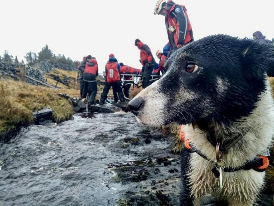 Beloved Lake District Search Dog Morag Retires After Years Of Life Saving Service