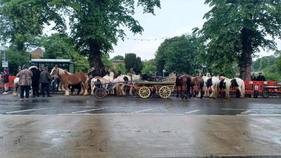Crimestoppers launches anonymous reporting campaign ahead of 250th Appleby Horse Fair