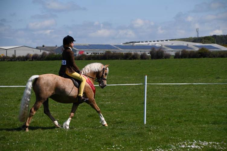 Cumberland Foxhounds Pony Club Celebrates Successful Open Show