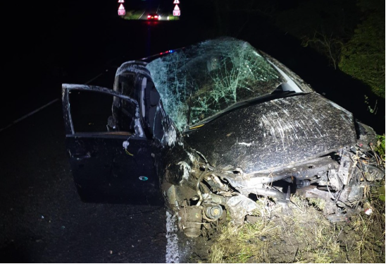 Cumbria Crash Carnage: Car Hits Tree at Height, Engine Blown Free