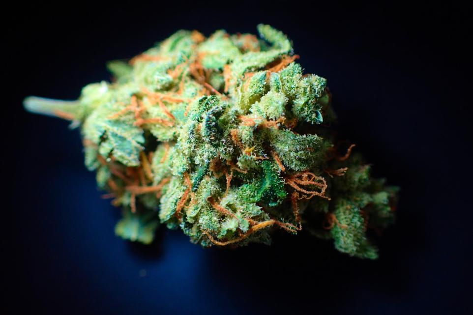 Cumbria Man Charged Over Alleged Supply Of More Than 6.5kg Of Cannabis