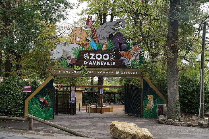 Dramatic Twist As South Lakes Safari Zoo Set To Reopen