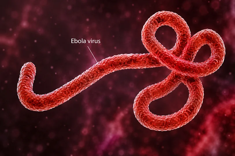 Ebola Spreading Faster Than Any Previous Outbreak in DR Congo, WHO Warns