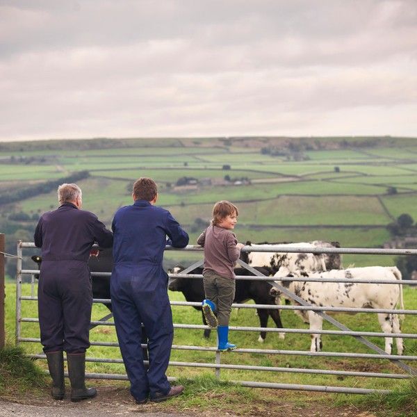 Farmers With Holiday Lets Feel Financial Impact Of Tax Rule Changes