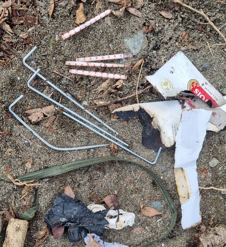 Fines Issued to Illegal Campers in Lake District Crackdown