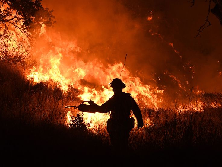 France Says Major Wildfire Stabilised But Battle Is Not Yet Over