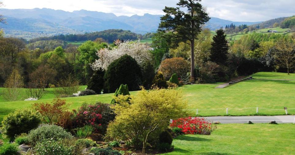 Hidden Lake District Garden Named Windermere's Top Tripadvisor Attraction