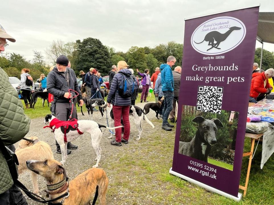 Holker Hall To Host Global Greyhound Walk With Around 100 Dogs.