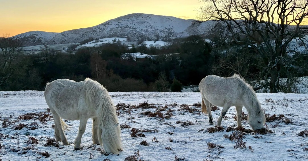 Ice and snow around UK in wintry start to 2026
