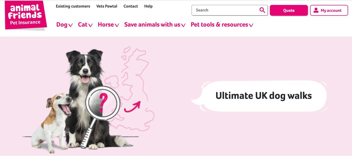 Lake District Crowned UK's Favourite Dog Walking Destination In New Owners' Poll.