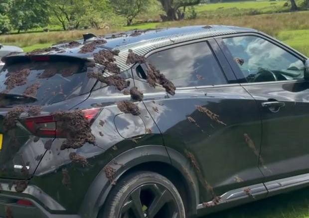 Lake District Farmer Explains Why Cars Were Covered In Slurry