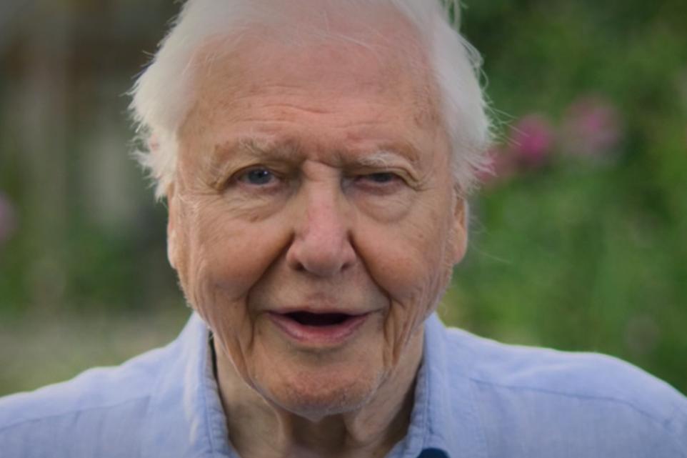 Lake District Garden Wildlife Showcased on BBC Secret Garden