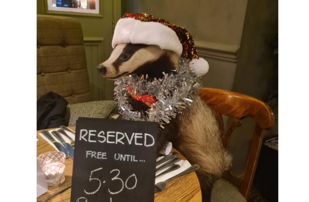 Lake District hotel’s stuffed badger returns home