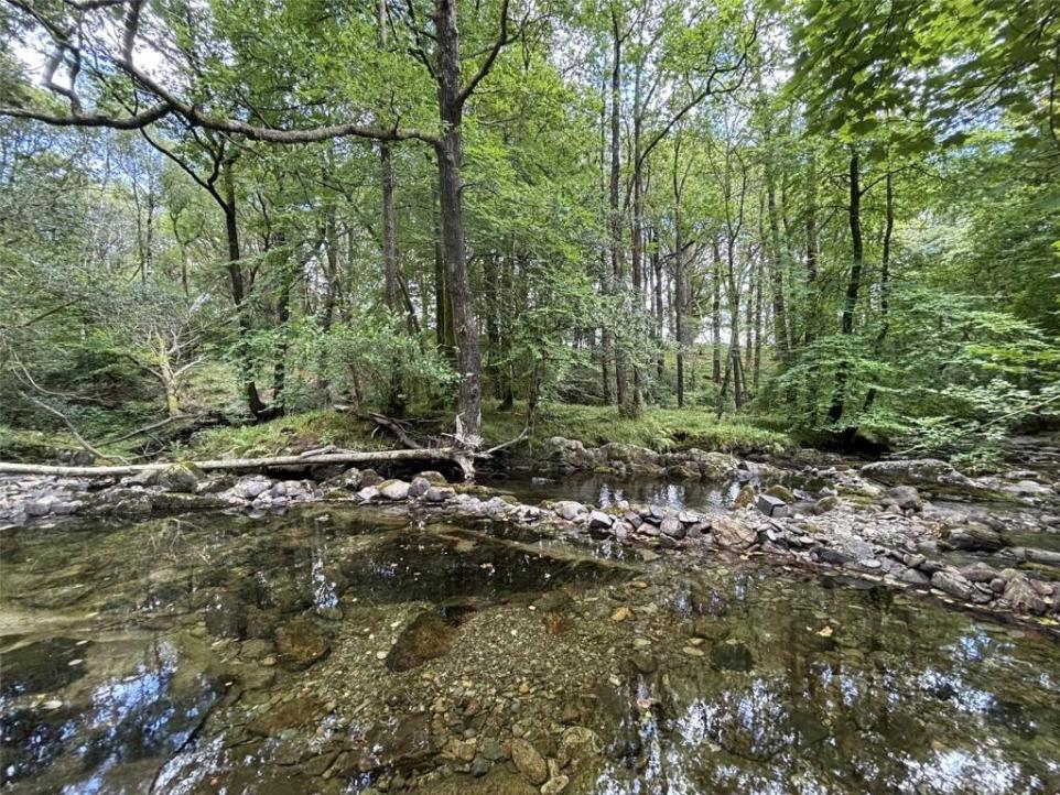 Lake District Land With Private Island, Woodland And Riverside Setting Goes On The Market.