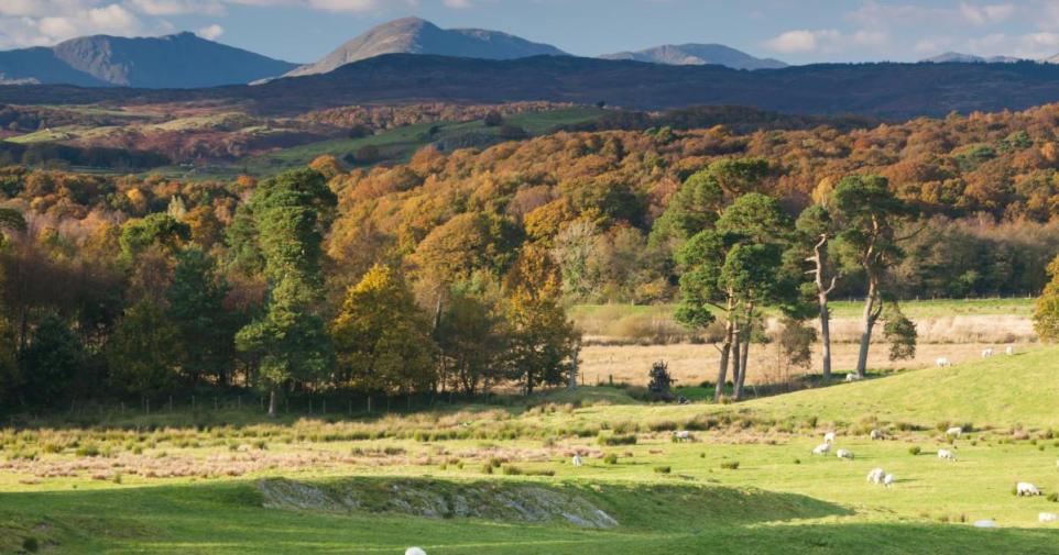 Lake District Rescue Team Stands Down After Man Recovers From Illness.