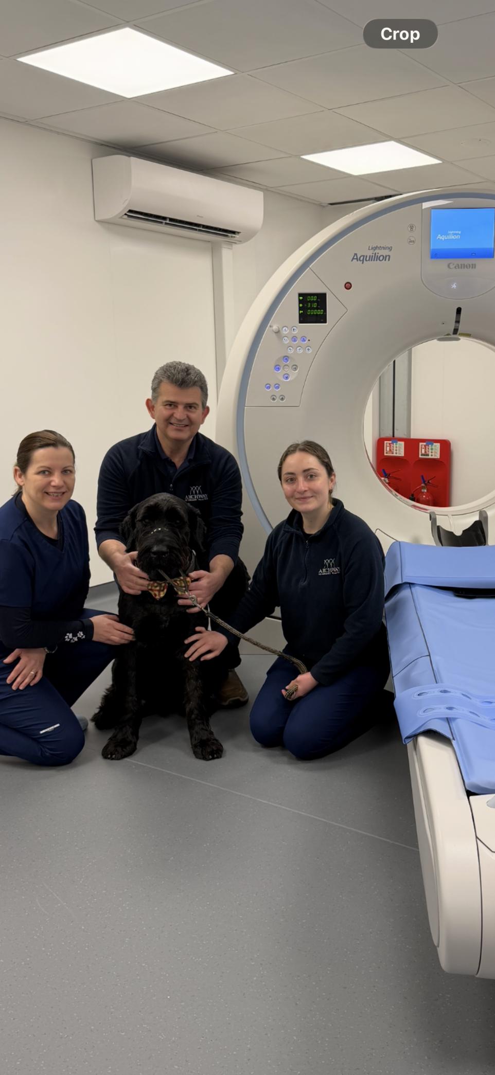 Lake District Vet Clinic Installs First CT Scanner to Boost Animal Diagnostics
