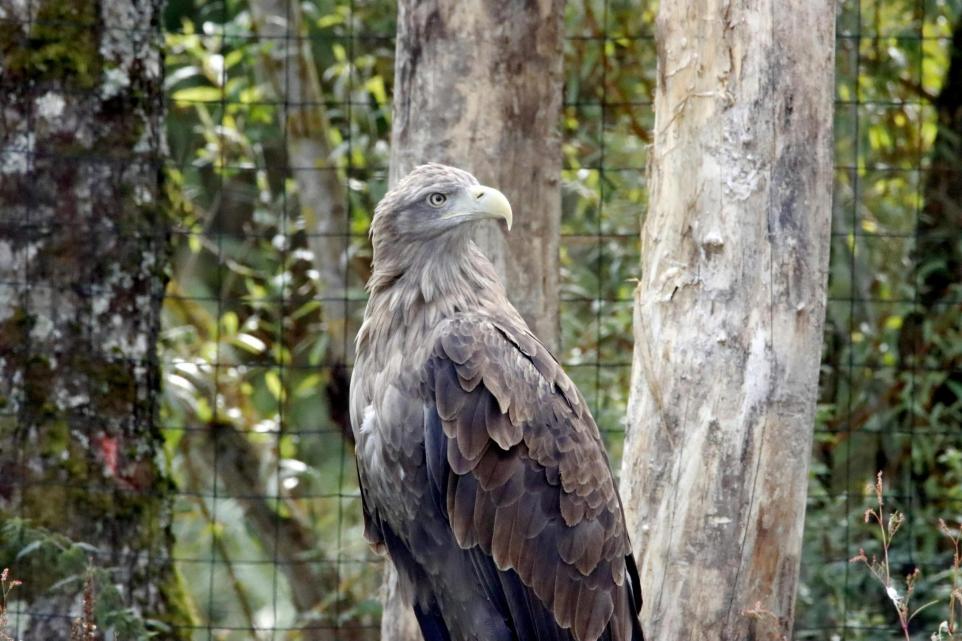 Lake District Wildlife Park Named Top Choice for Memorable Family Days Out