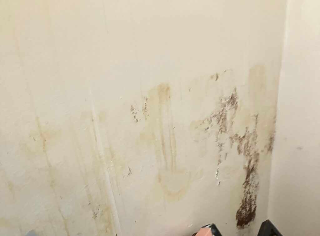 Landlord Faces £10,250 Fine After Failing to Address Damp in South Cumbria Property