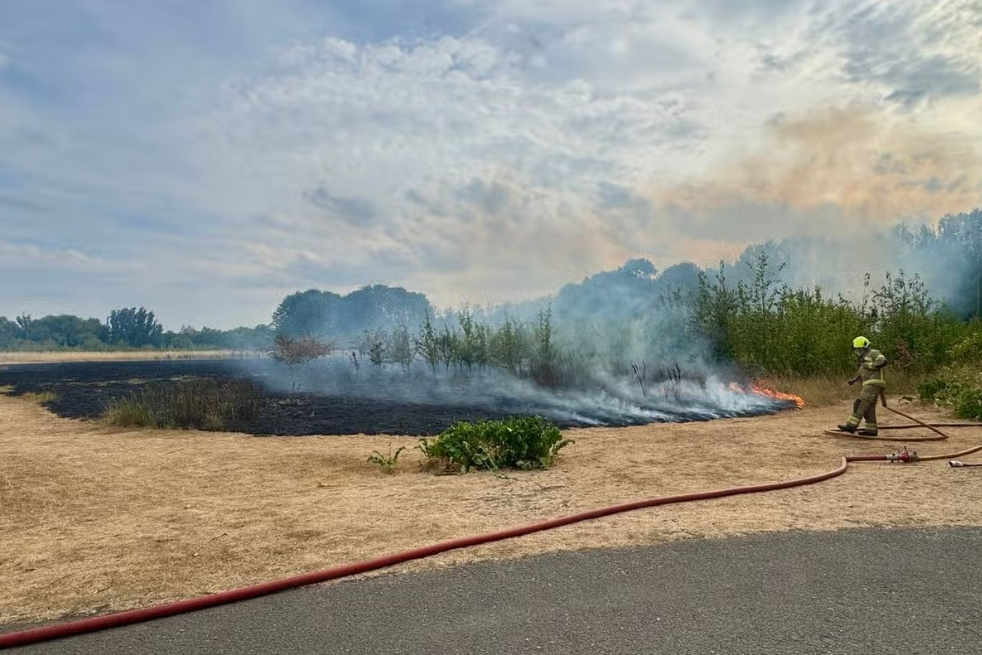 Large Area Of Aylestone Meadows Destroyed By Fire As Investigation Begins.