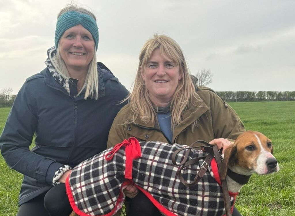 May Day Hound Racing Set for Thrilling Return at Gamelsby