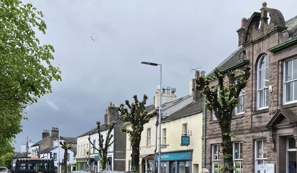 Outrage After Heavy Tree Cutting in Cockermouth