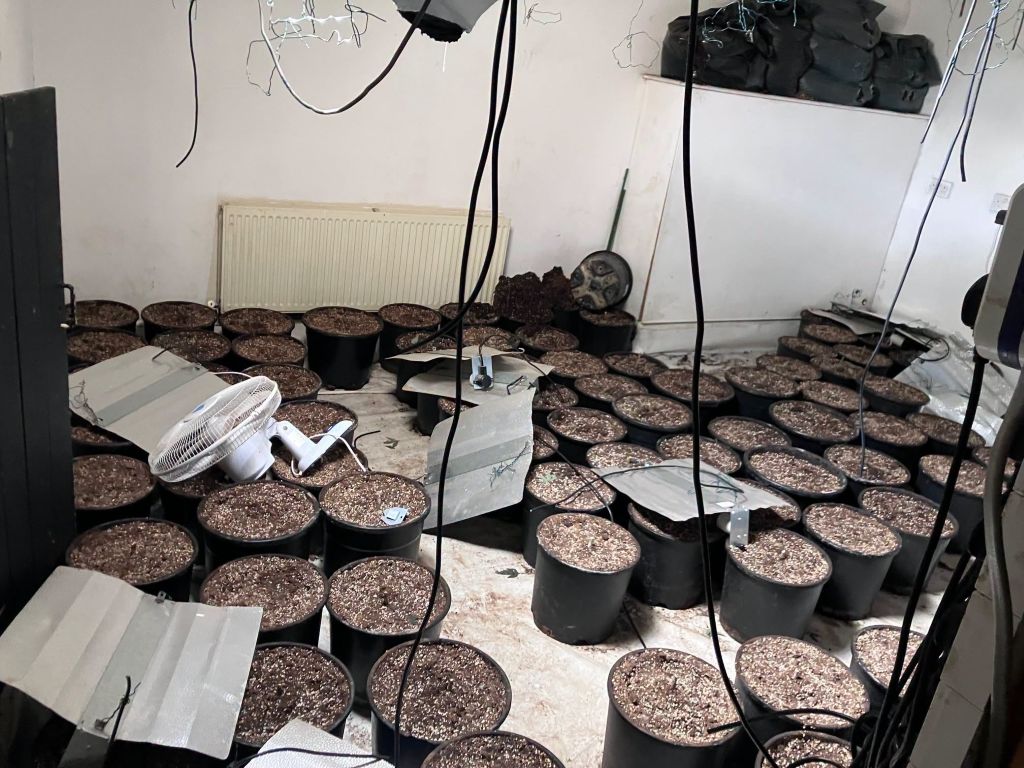 Police Uncover £450,000 Cannabis Farm in Kirkby Stephen as Man Charged