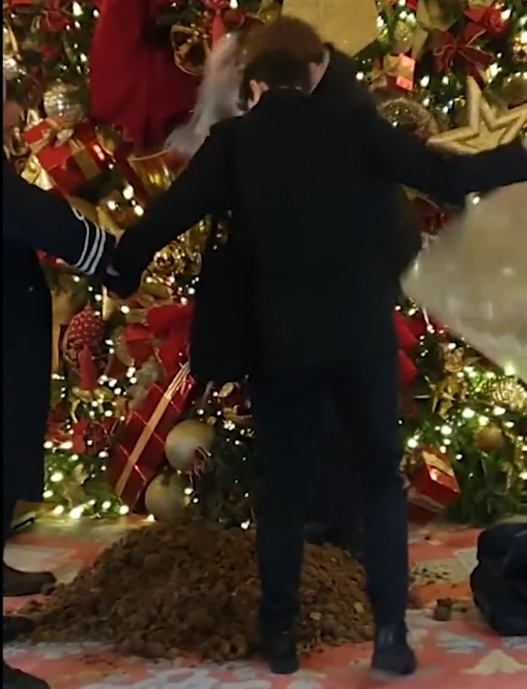 Protesters dump horse manure beneath Ritz Hotel Christmas tree in wealth inequality stunt
