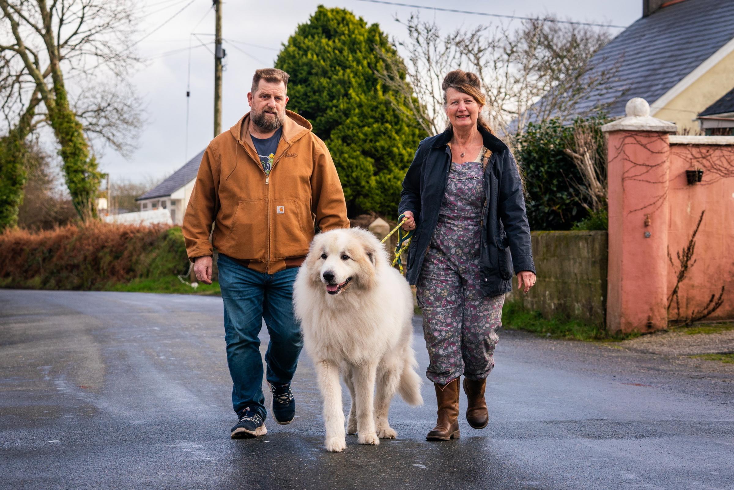 Rescue Dog Brody Finds His “Forever Home” in Cornwall