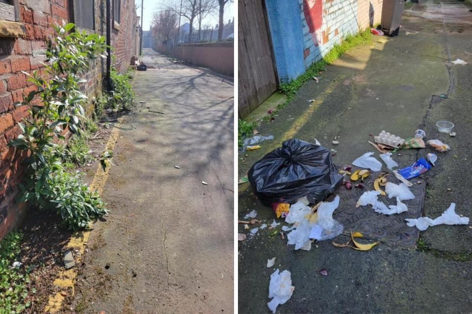 Residents Frustrated Over Weeds and Alley Conditions in Barrow