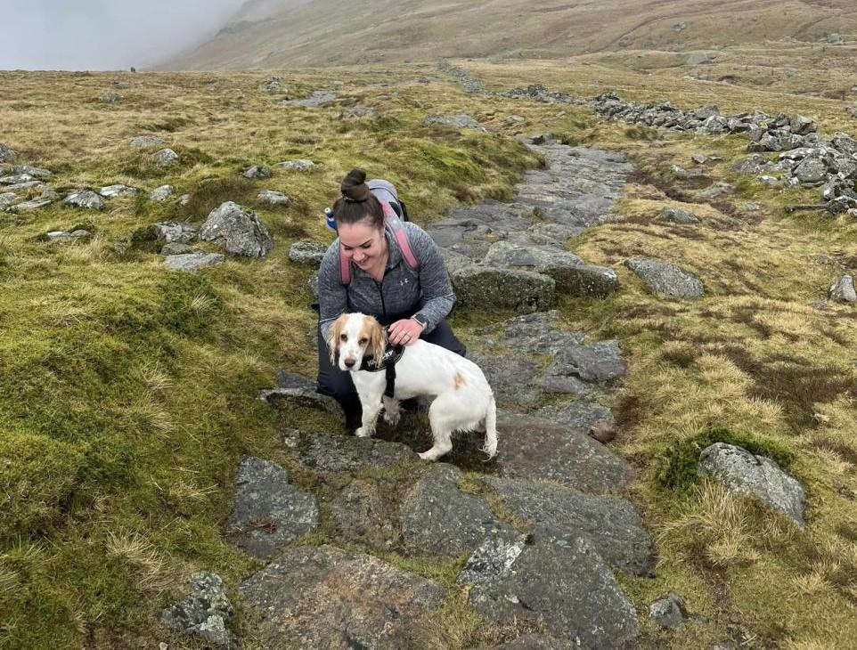 Roa Island Safety Sign Still Missing Nearly Two Years After Dog Swept Out To Sea