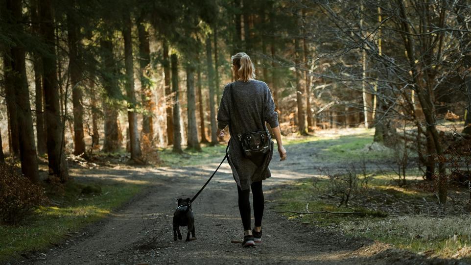 Rydal Water Named UK's Best Family And Dog Friendly Walk.