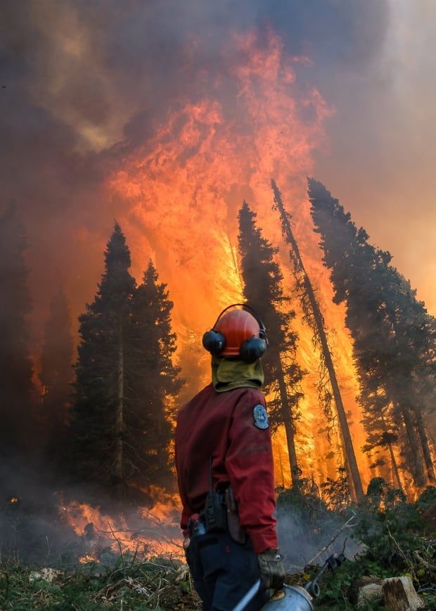 Scots Warned Of Very High Wildfire Risk As Warm Weather Continues