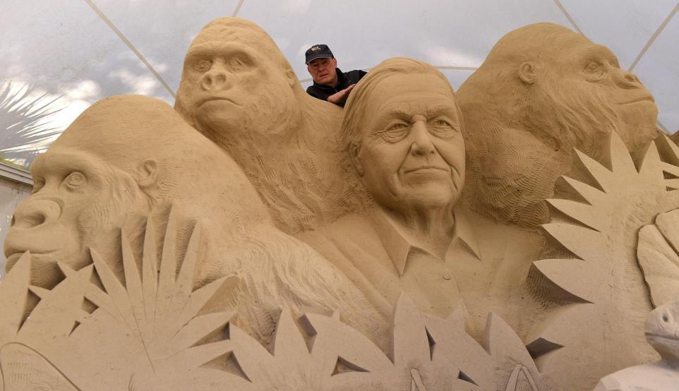 Stunning Sir David Attenborough Sand Sculpture Leaves Beach Visitors Amazed