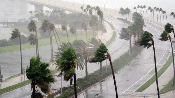 Tropical Storm Bertha Weakens After Bringing Heavy Rain To Gulf Coast