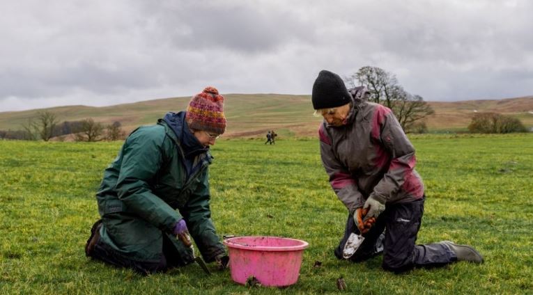 Volunteers Sought To Plant 1,500 Wildflowers At Cumbrian Meadow