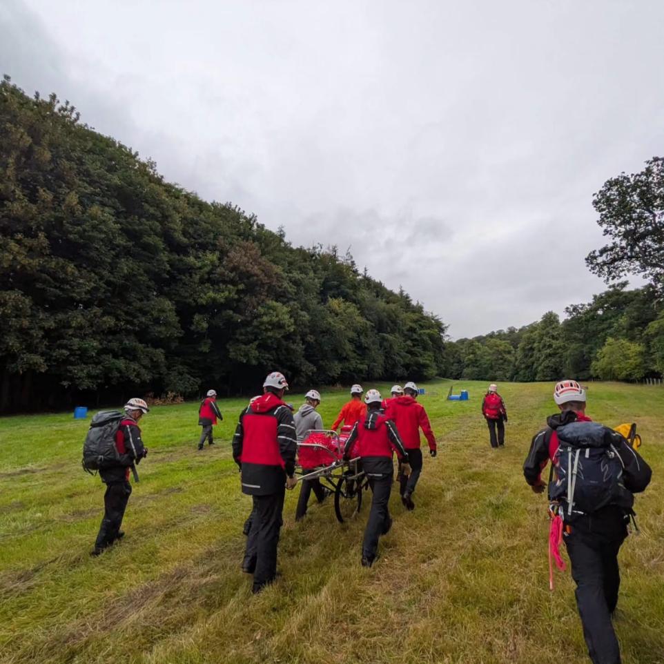 Walker Taken To Hospital After Falling Near Hornets’ Nest In Cumbria.