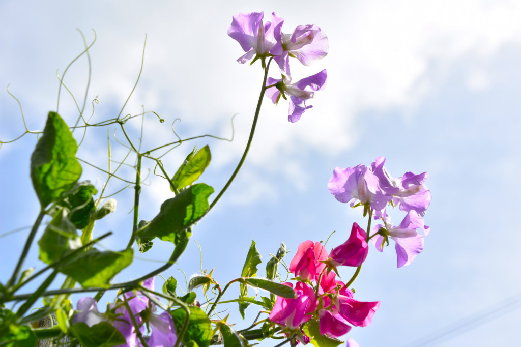 Wet Weekend Followed By Warm Tuesday In Five-Day Cumbria Weather Outlook.