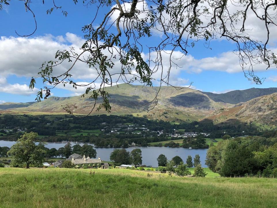 Woman Injured During Zip Line Activity At Whinlatter Forest