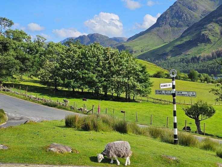 Work Begins On £16 Million Lake District Power Network Upgrade
