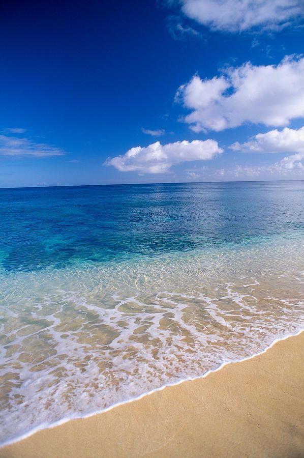 World's Oceans Record Hottest June Ever As Scientists Warn More Extreme Heat Ahead
