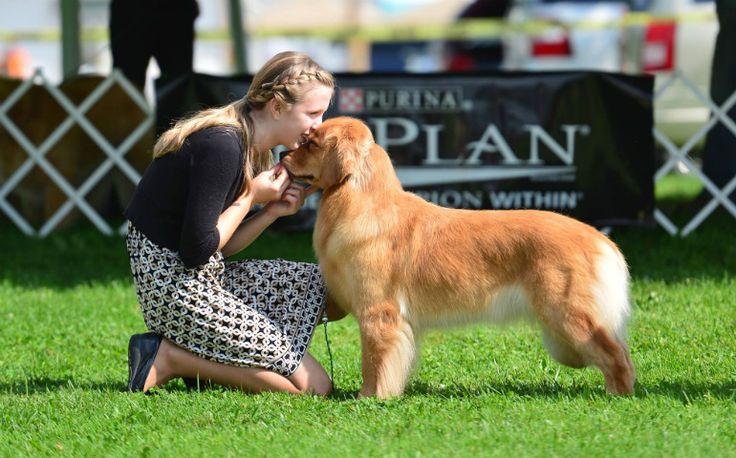 Young Hound Trainers Celebrate Outstanding Loweswater Show Results